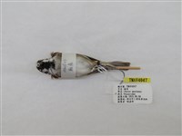 藏品(麻雀)的圖片